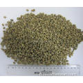 écran 13-15 grains de café vert du yunnan